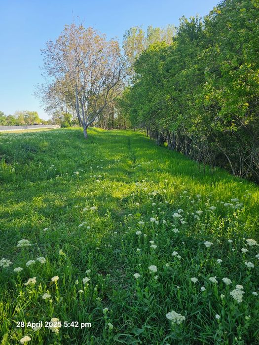 Terenuri de vânzare Criva , Piatra Olt