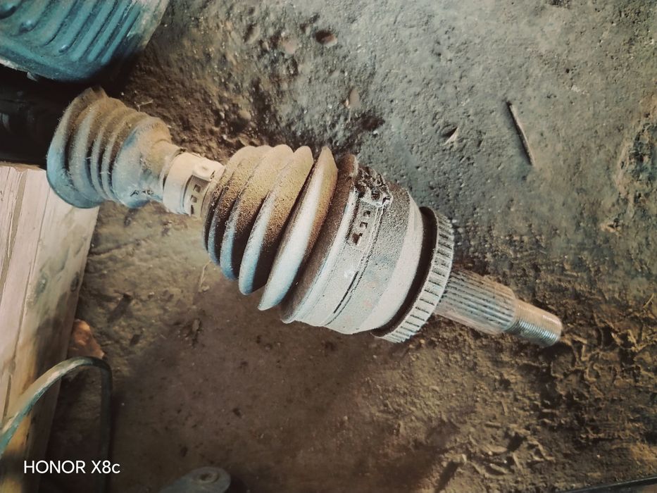 Bivaydi song plus tawqi granata