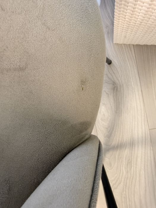 Scaune de masa catifea