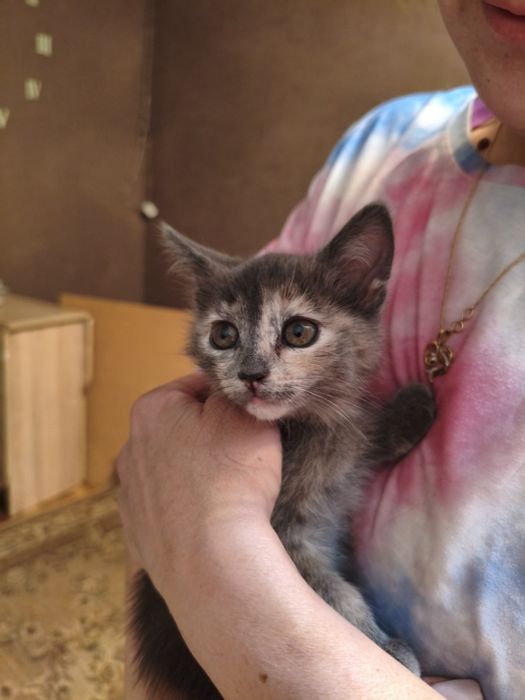 В добрые заботливые руки.