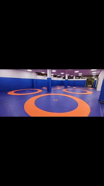 Борцовский ковер из пвх материал от производителя kavyor tatami 12x12