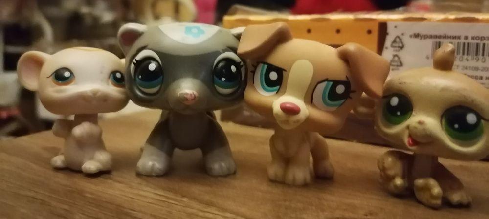 собачки для причёсок, питомцы бу