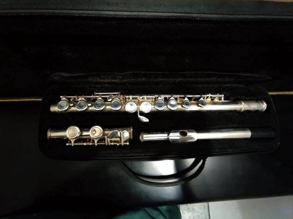 Профессиональная флейта