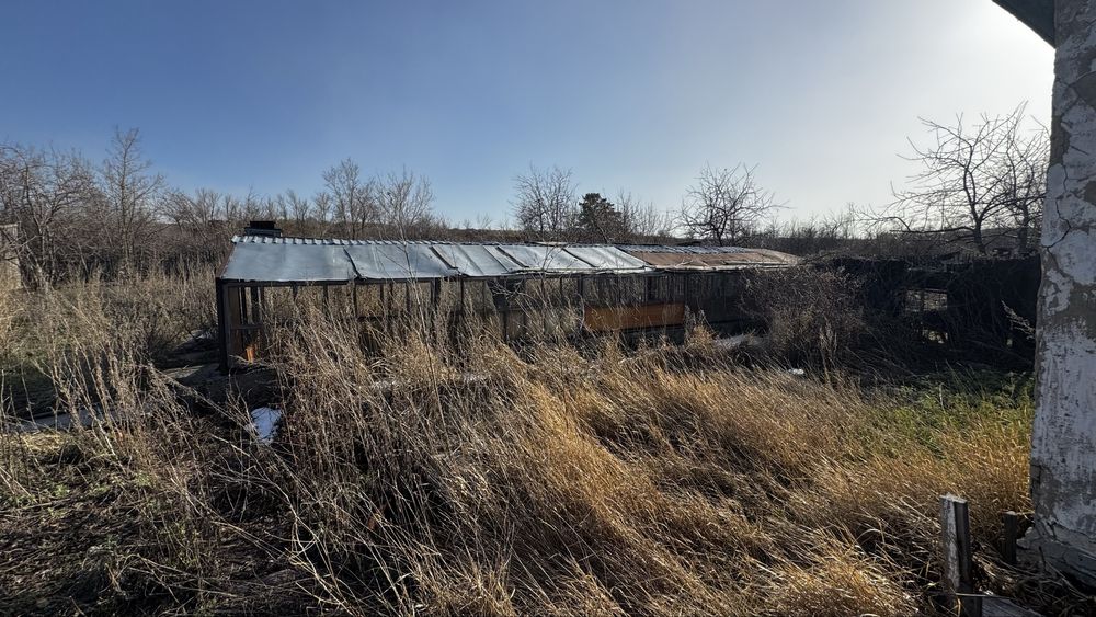 Отдам дачу на правом берегу бесплатно!