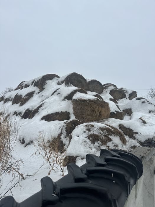 Сено луговое в рулонах