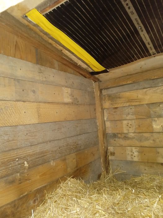 Продам будку для собак