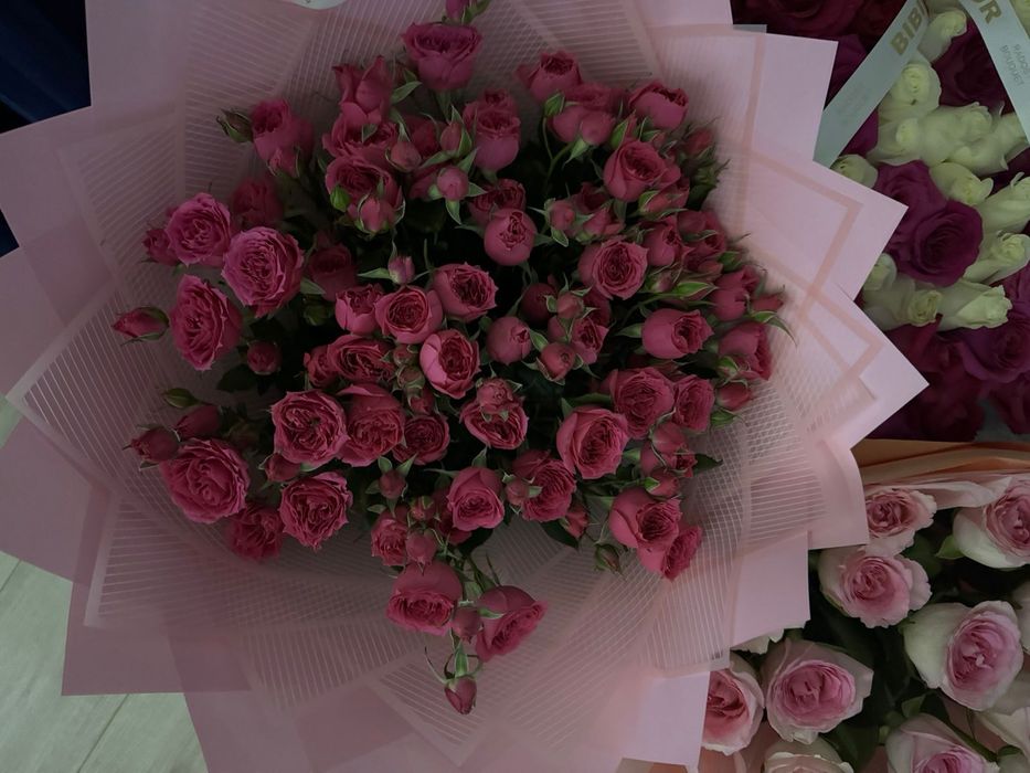 Гулдер сатылады срочно свежие