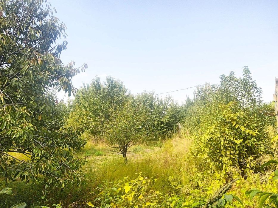 7 sotiq yer sotiladi