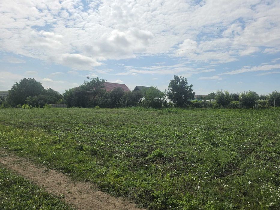 Teren vânzare Budăi, Podu - Iloaiei