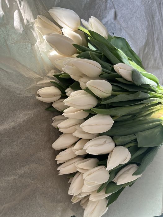 Тюльпаны в пачках/в оформлении