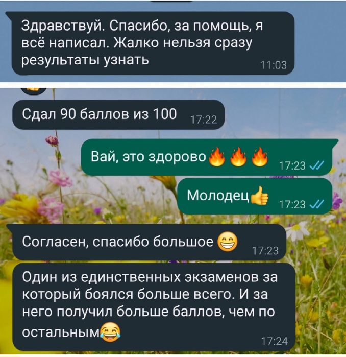 Репетитор по математике/физике