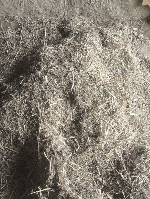 Макка билан камиш пресс