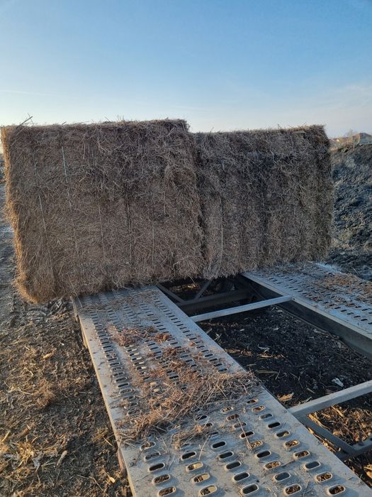 Vand baloti fan 500 kg