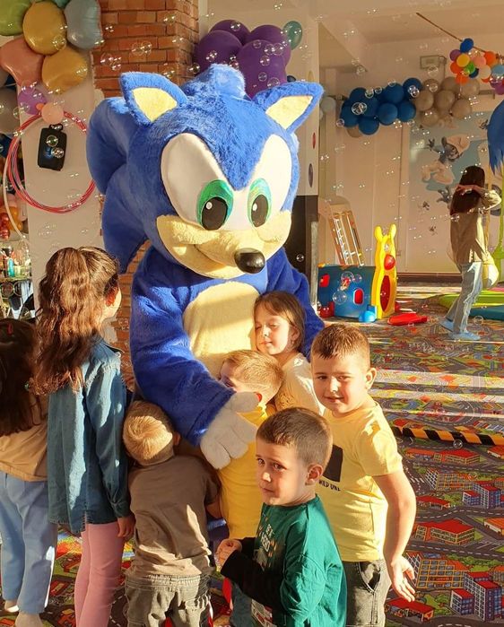 Mascote delux adult Sonic ariciul desene animate