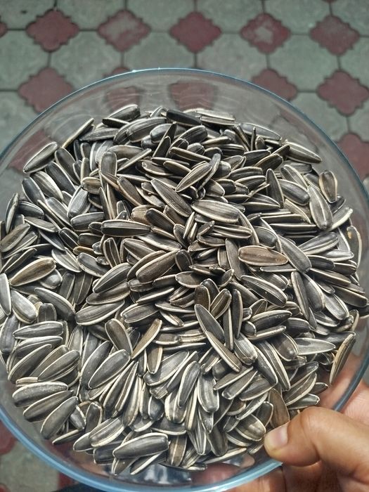 Продам семечки  сорт Т-6