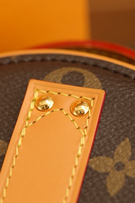 Geanta Louis Vuitton