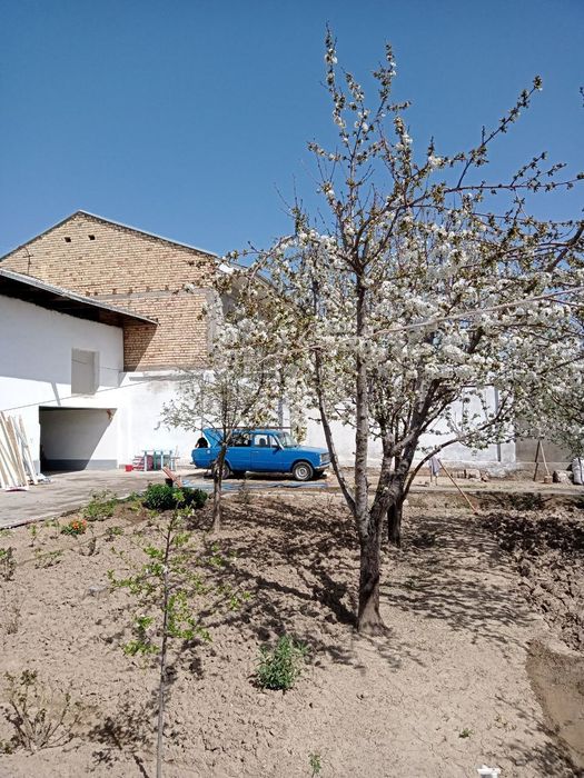 Qibray markazida Hamyonbob narxda