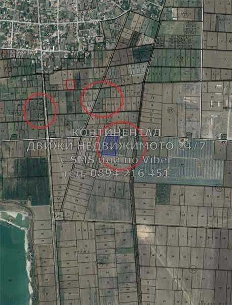 Овощни градини 35дка, капково напояване и инвентар  - код 15664