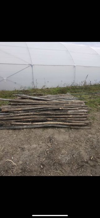 Дървени колове за домати - акация