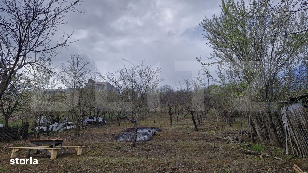 Teren intravilan Viisoara cu panorama asupra orasului. 3000 euro/ar.