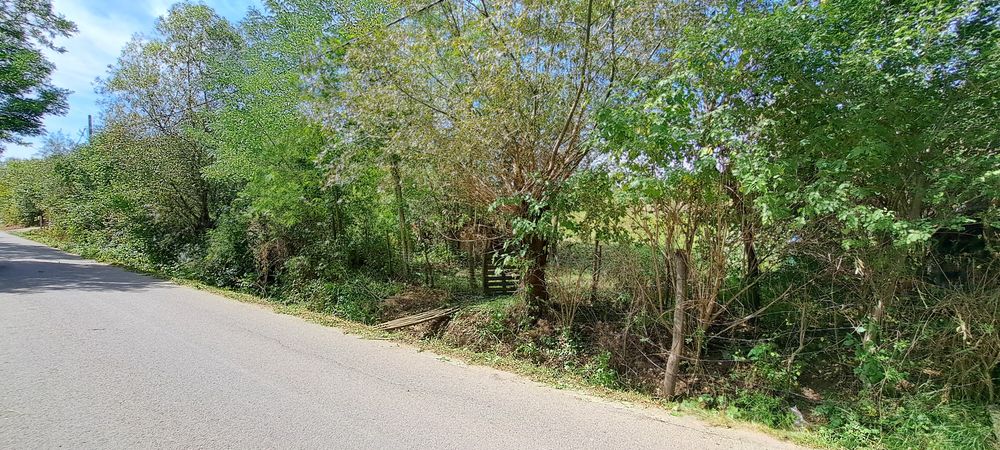 Teren in Ciurila
