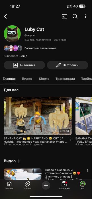 Американский Ютуб канал сатамын