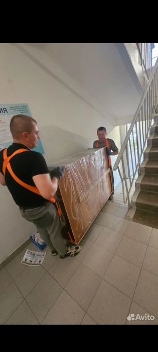 Грузчики перевозчик