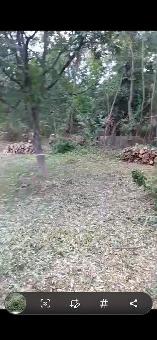 Defrișări  terenuri