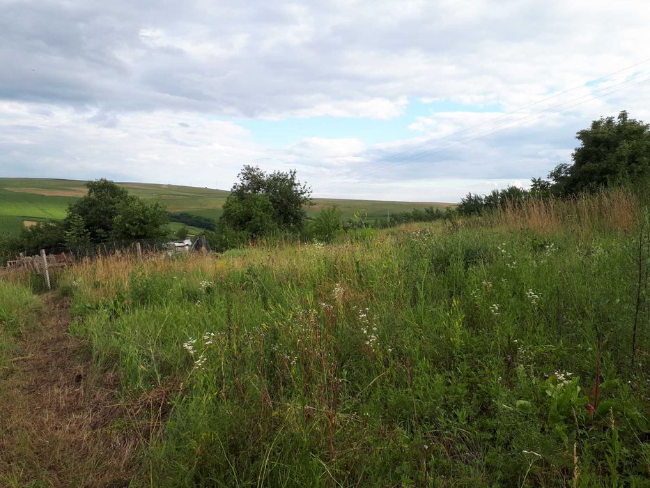 Vand teren n sat Rediu, 19 km fata de Cluj, 38 euro/mp, 88.000 euro