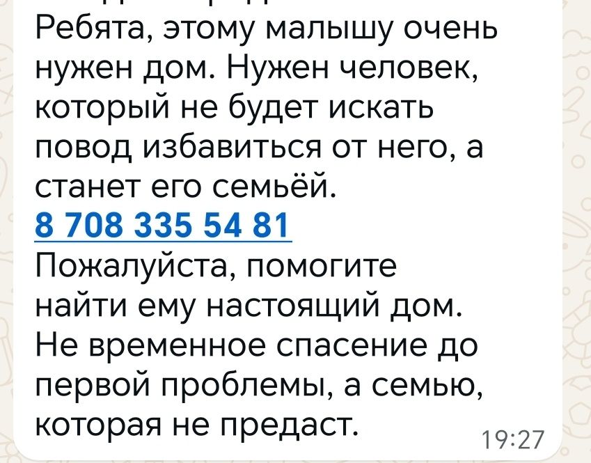 Срочно котику нужен дом.