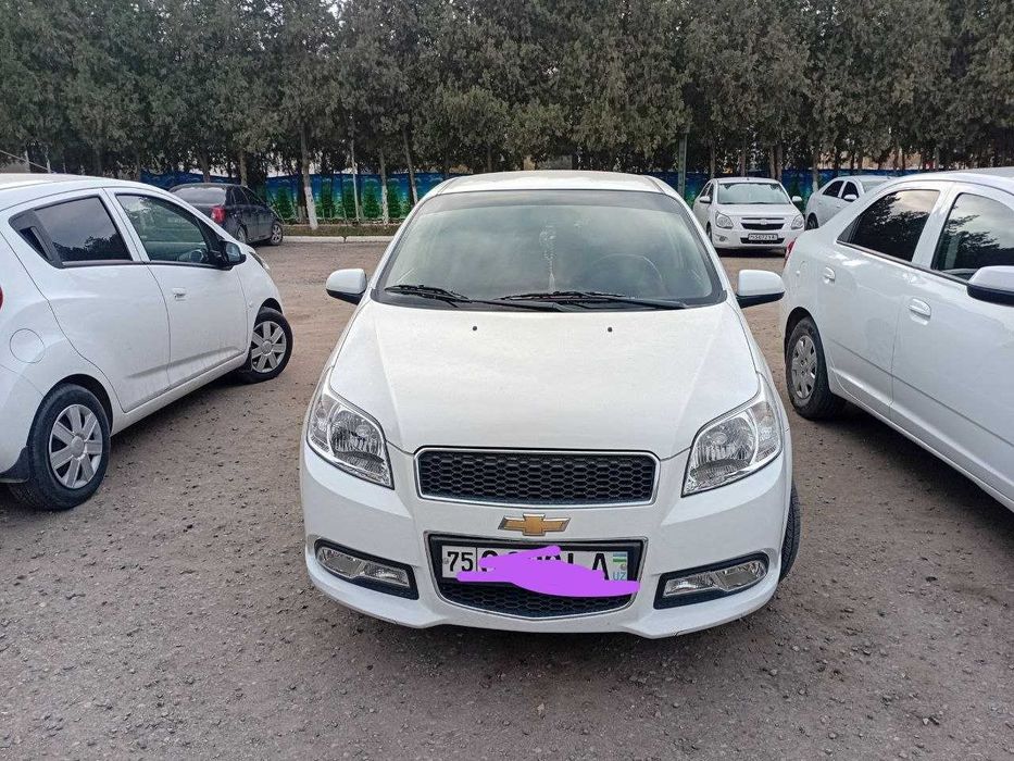 Nexia 3 2019 oq tozza