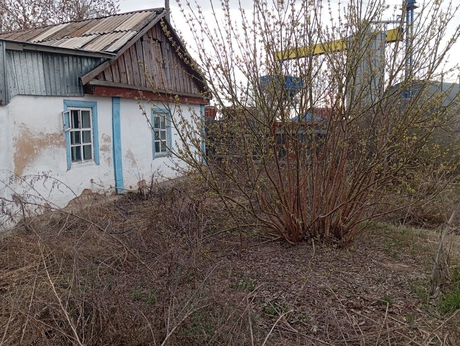 Продам дом в Жалтыре