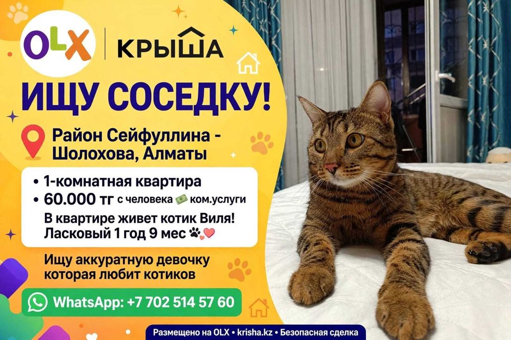 Ищу соседку для совместного проживания