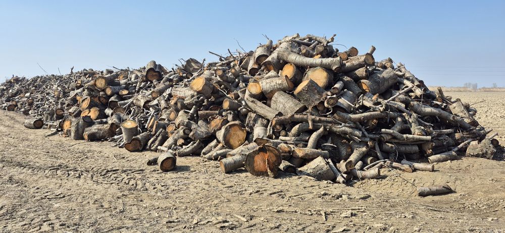 Ўтин сотилади. Қуруқ гилос ўтини.