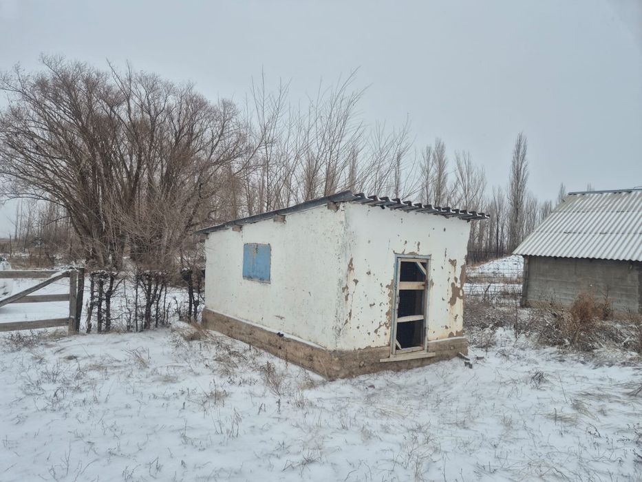 Фазенда 36 гектаров