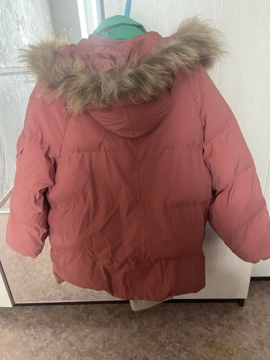 Куртка коротка