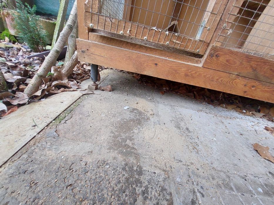 Гълъбарник за до 4 чифта