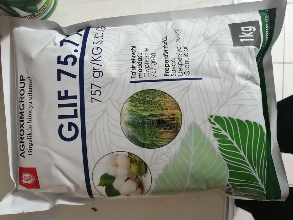 Gilifasat glif uragan gerbitsid