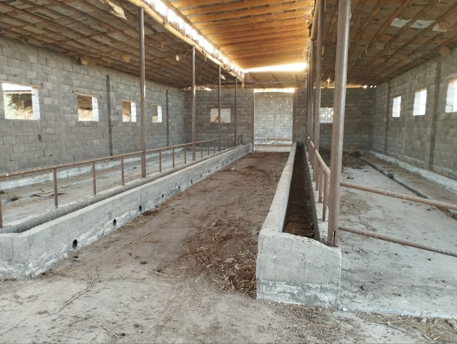 Ferma tovuq boqishga muljalangan