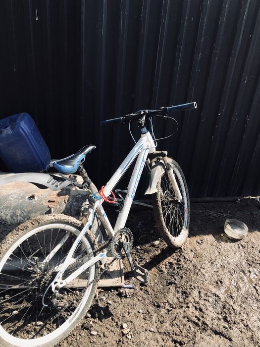 Велик сатылады 24 тік