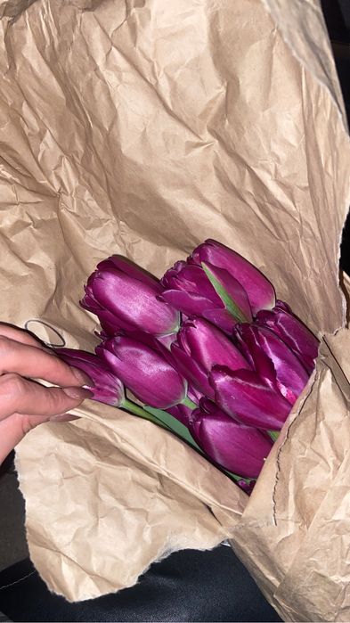 Свежие тюльпаны по 300