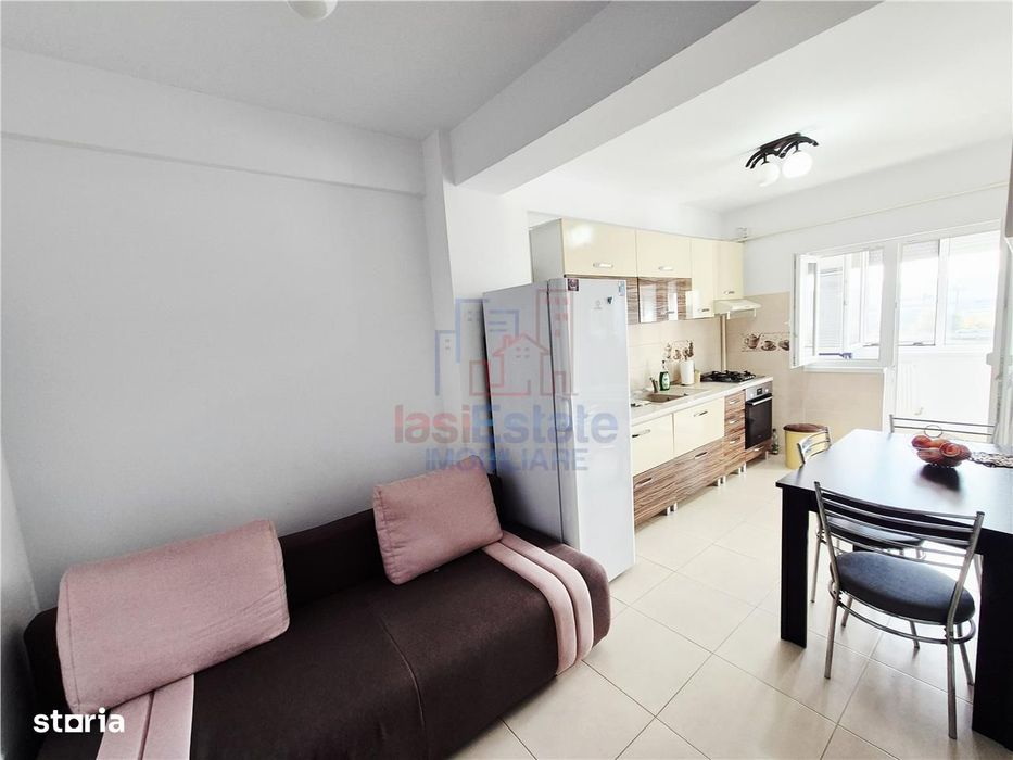 Apartament spatios cu o camera de vanzare in Valea Lupului