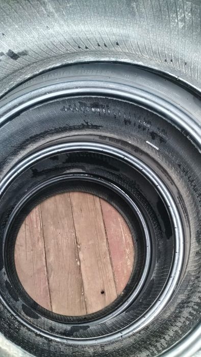 продам калисо лето