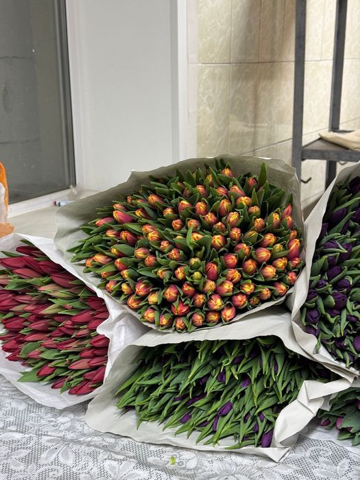 Крупные тюльпаны от 450тг