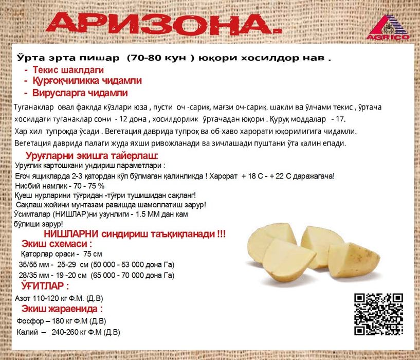 Уруглик картошка Urugʻlik kartoshka