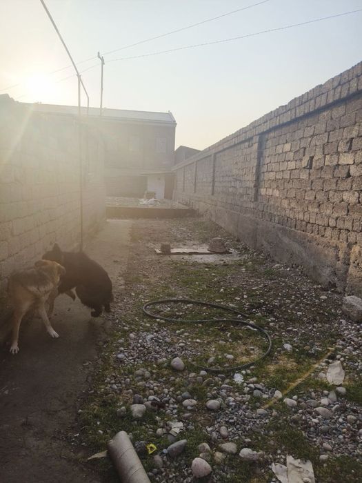 Срочно продается дом. 5.3 сотки.3 комнаты. Возможен обмен на 3ком кв!