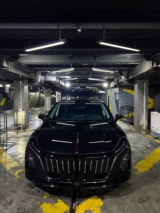 Hongqi honji eqm5