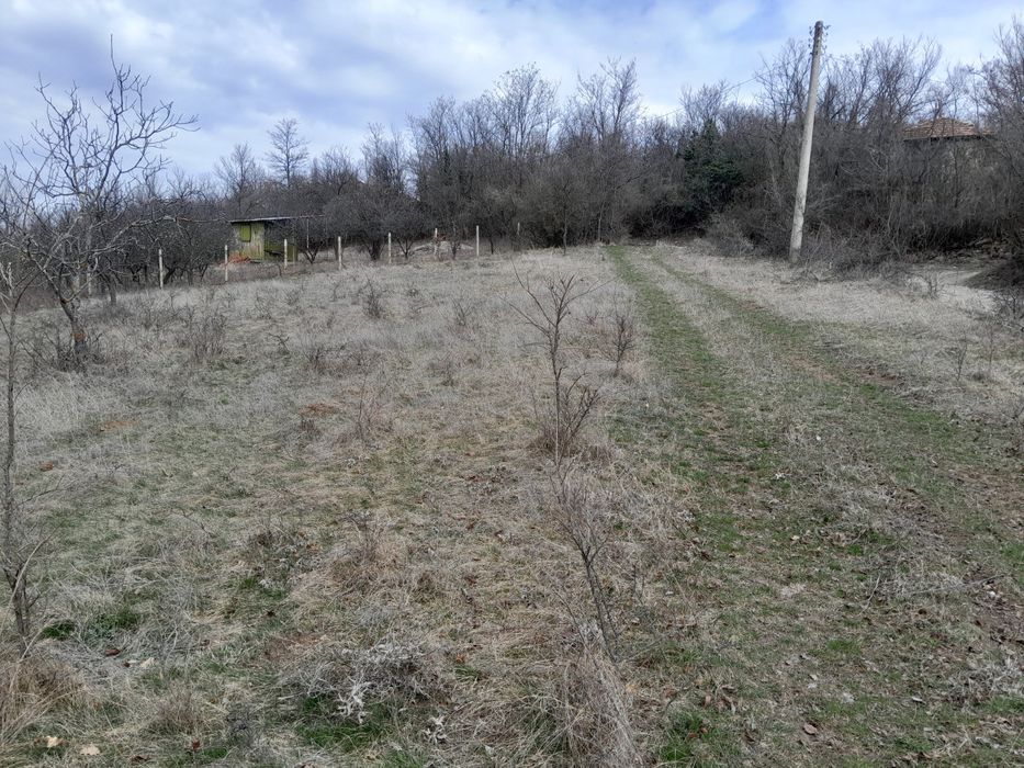 ПИ - 1200 м2 в с. Косача