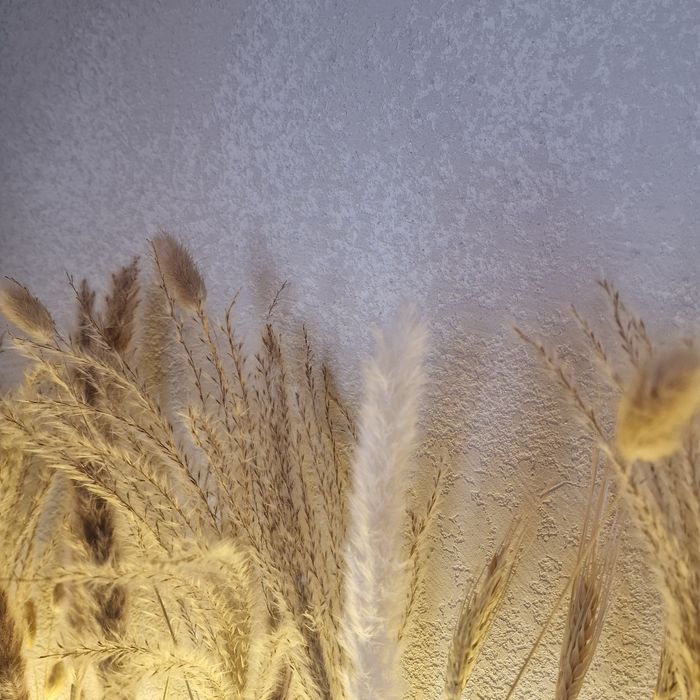 Декоративная штукатурка. Шелк. Бетон. Зара. Венецианка.