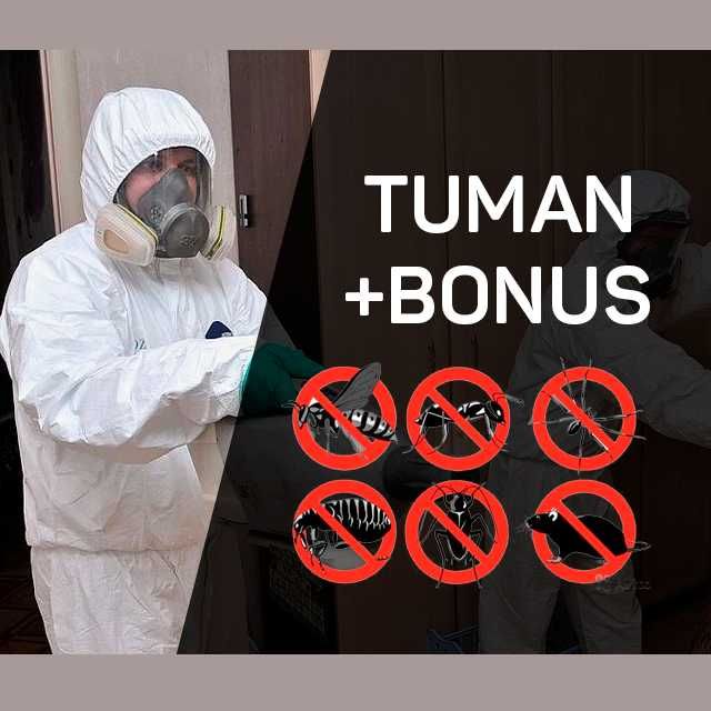 Dezinfeksiya xizmati Дезинфекция Уничтожение тараканов клоп крыс мышей